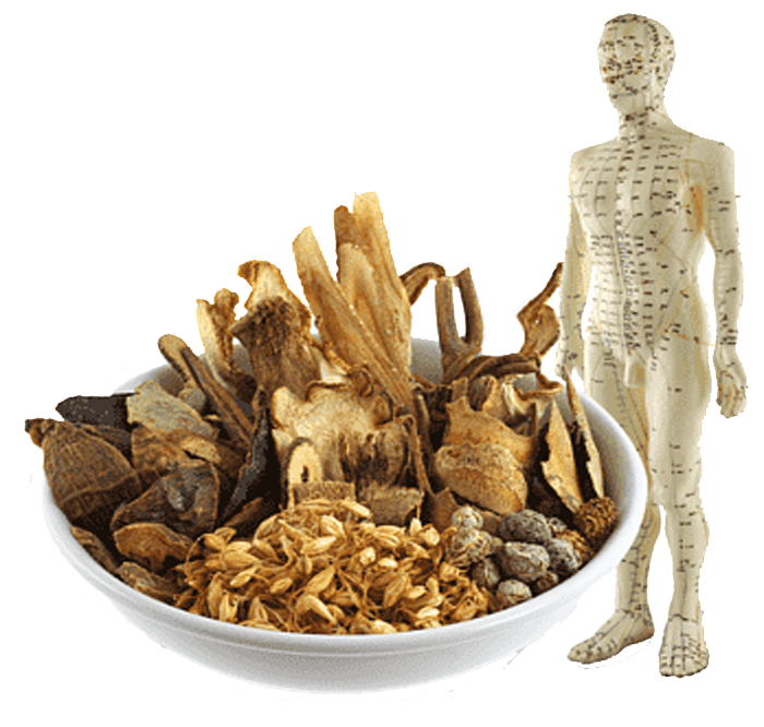 thetole acupuncture herbs malaysia treatment